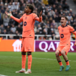 -pecel lele + nasi -tempe 1 -sate usus 3 - extra nasi 1 (1)